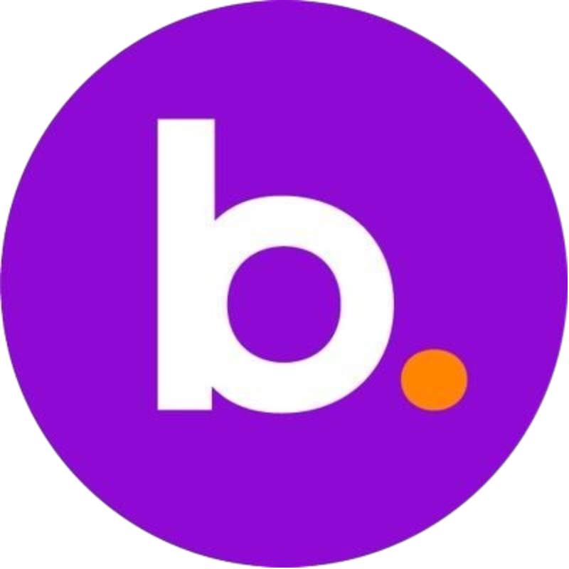 BNS Token (OLD)